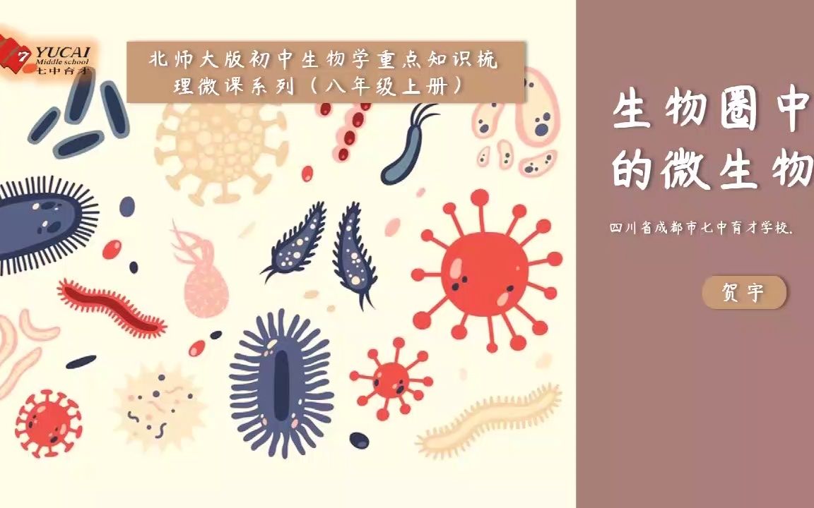 七中育才【初中生物】知识梳理微课第18章《生物圈中的微生物》哔哩哔哩bilibili