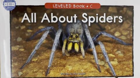 少儿英语raz分级阅读c 03 All About Spiders 关于蜘蛛的所有 哔哩哔哩