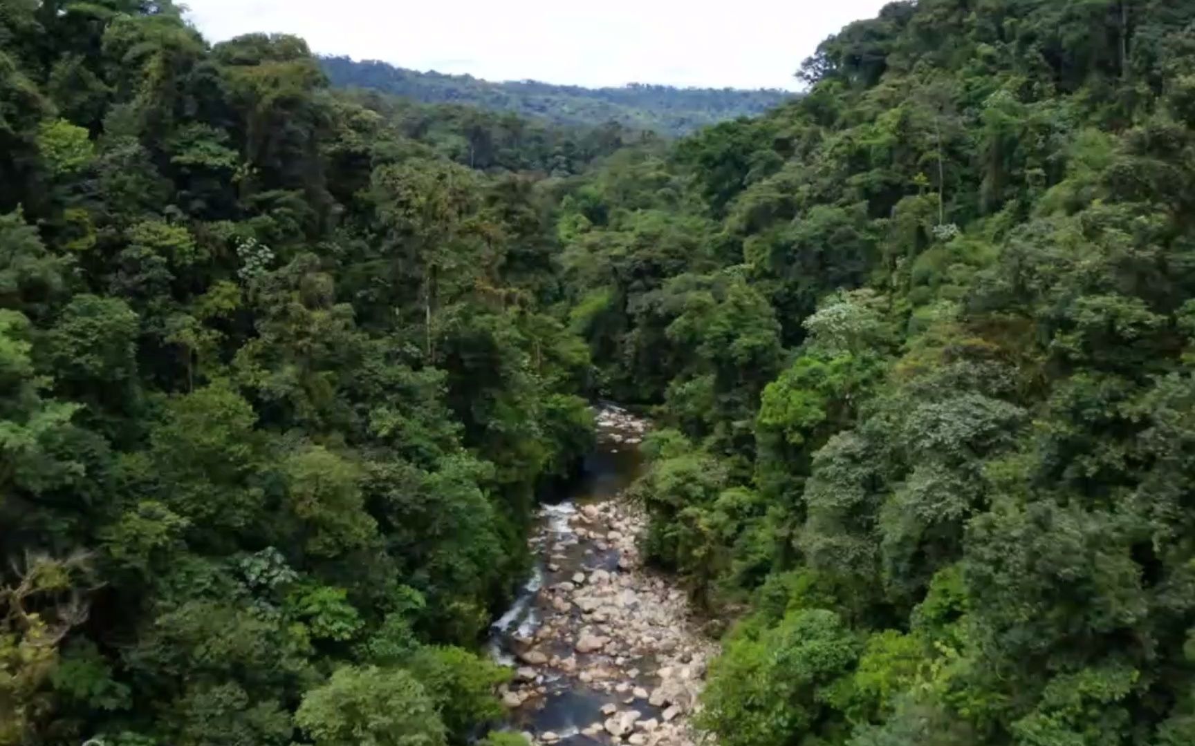 [图]亚马逊河4K风景纪录片-世界上最长的河流 十个南美国家的母亲河