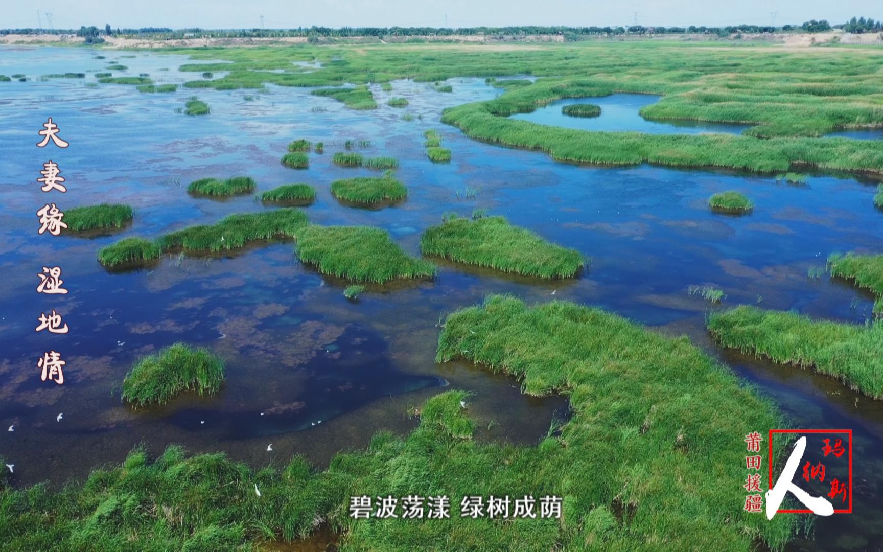 [图]玛纳斯人：夫妻缘 湿地情