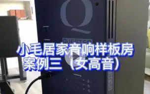 Descargar video: Quested v3110罗杰之声调声案例 关键丹拿 宝华 西湖