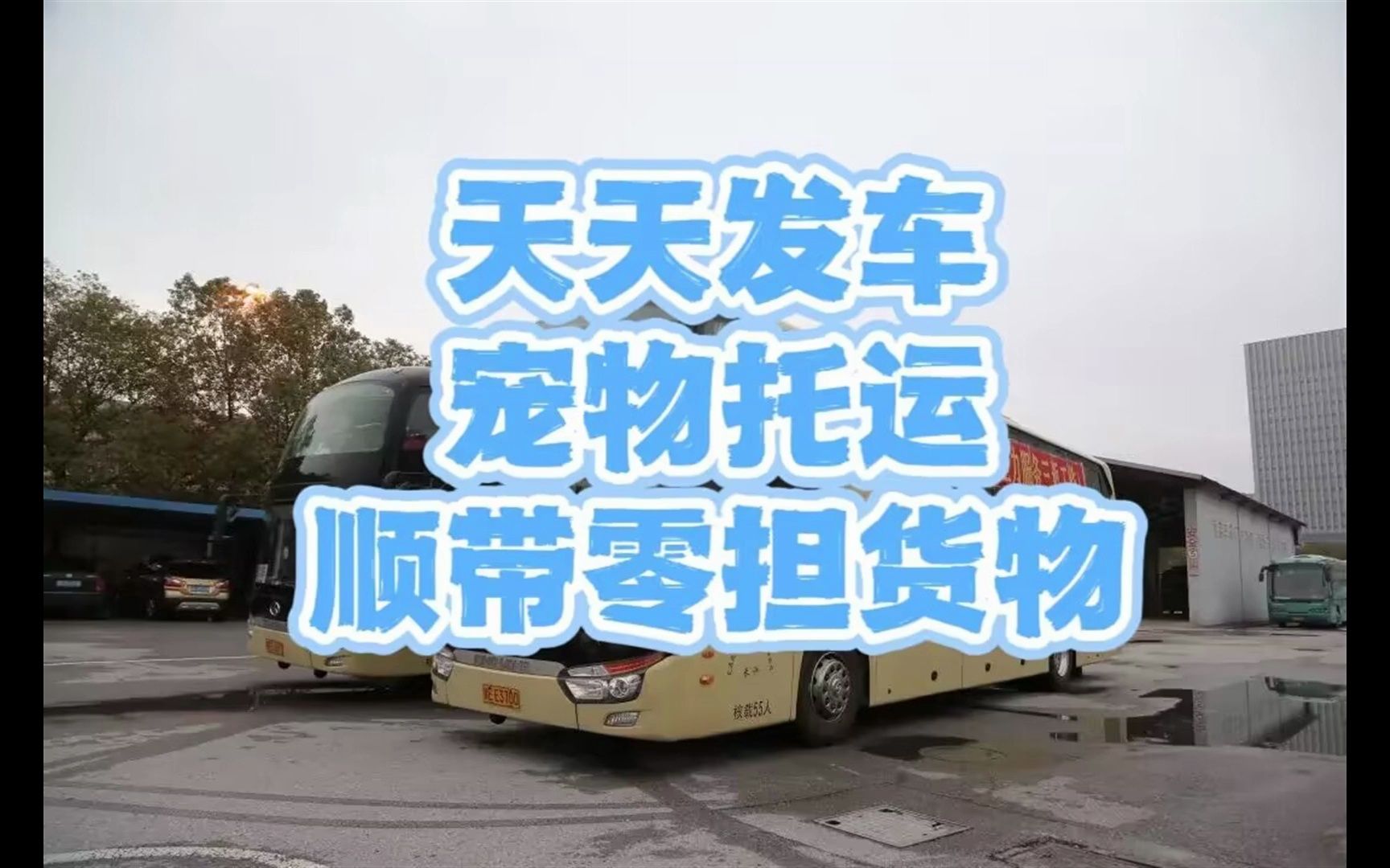 宁波到商丘汽车班次时间表)客车+路线:13291961860哔哩哔哩bilibili