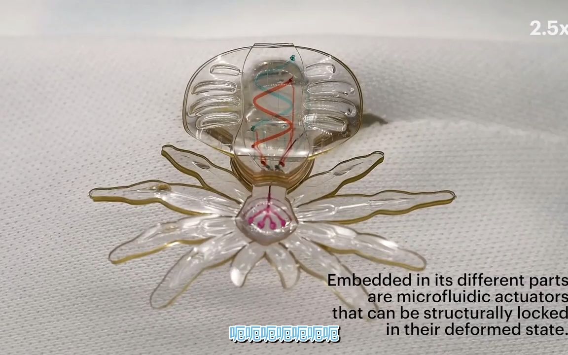 变形机器人蜘蛛