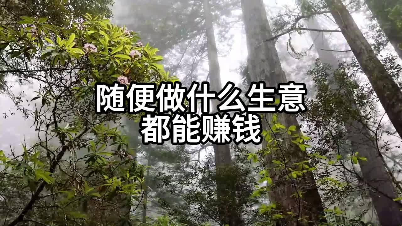 随便做什么生意 都能赚钱