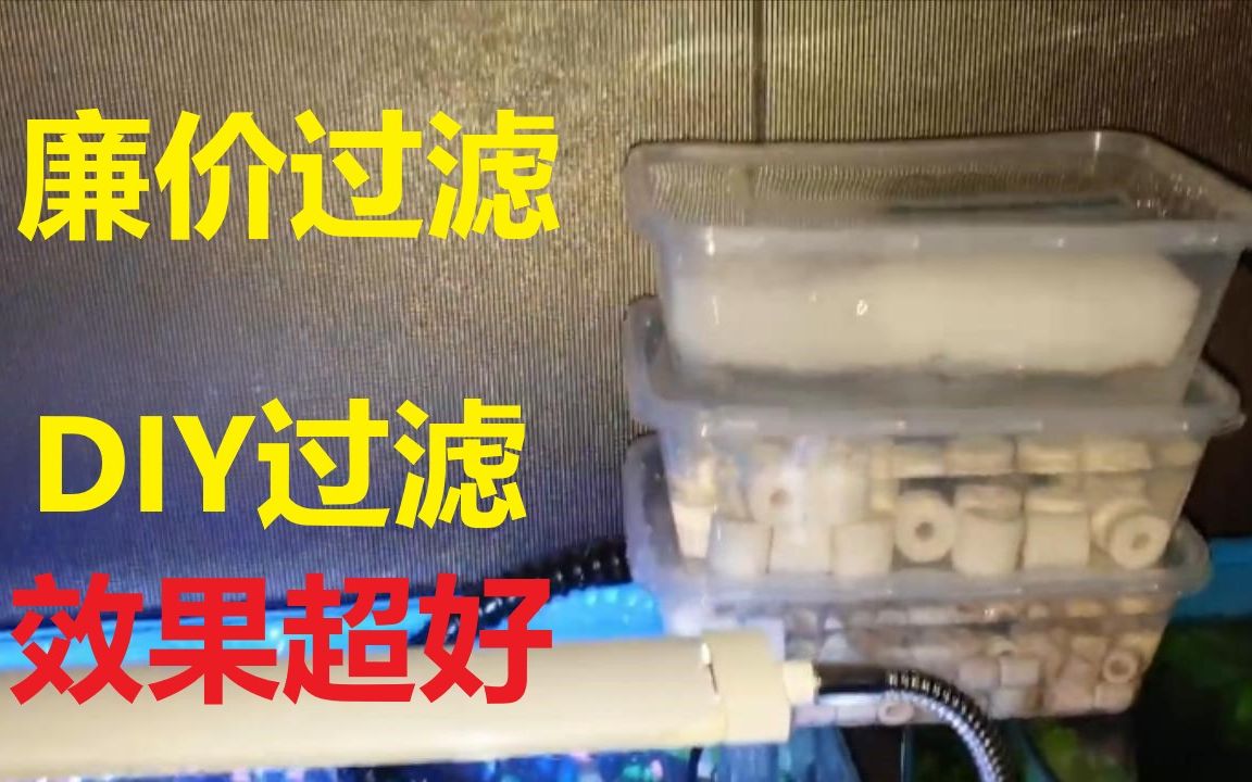 [图]自制过滤器效果超好史上最廉价的过滤器自制鱼缸过滤器乌龟缸过滤器周转箱过滤器沼泽过滤生态鱼缸diy过滤器乌龟缸过滤器乌龟生态缸乌龟盲盒自制晒台攻略教程教学养龟鱼缸