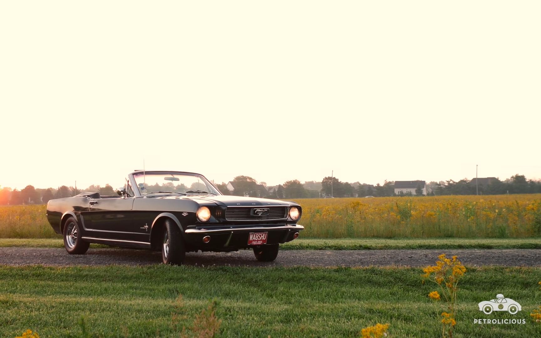 1966 ford mustang convertible/福特野马敞篷