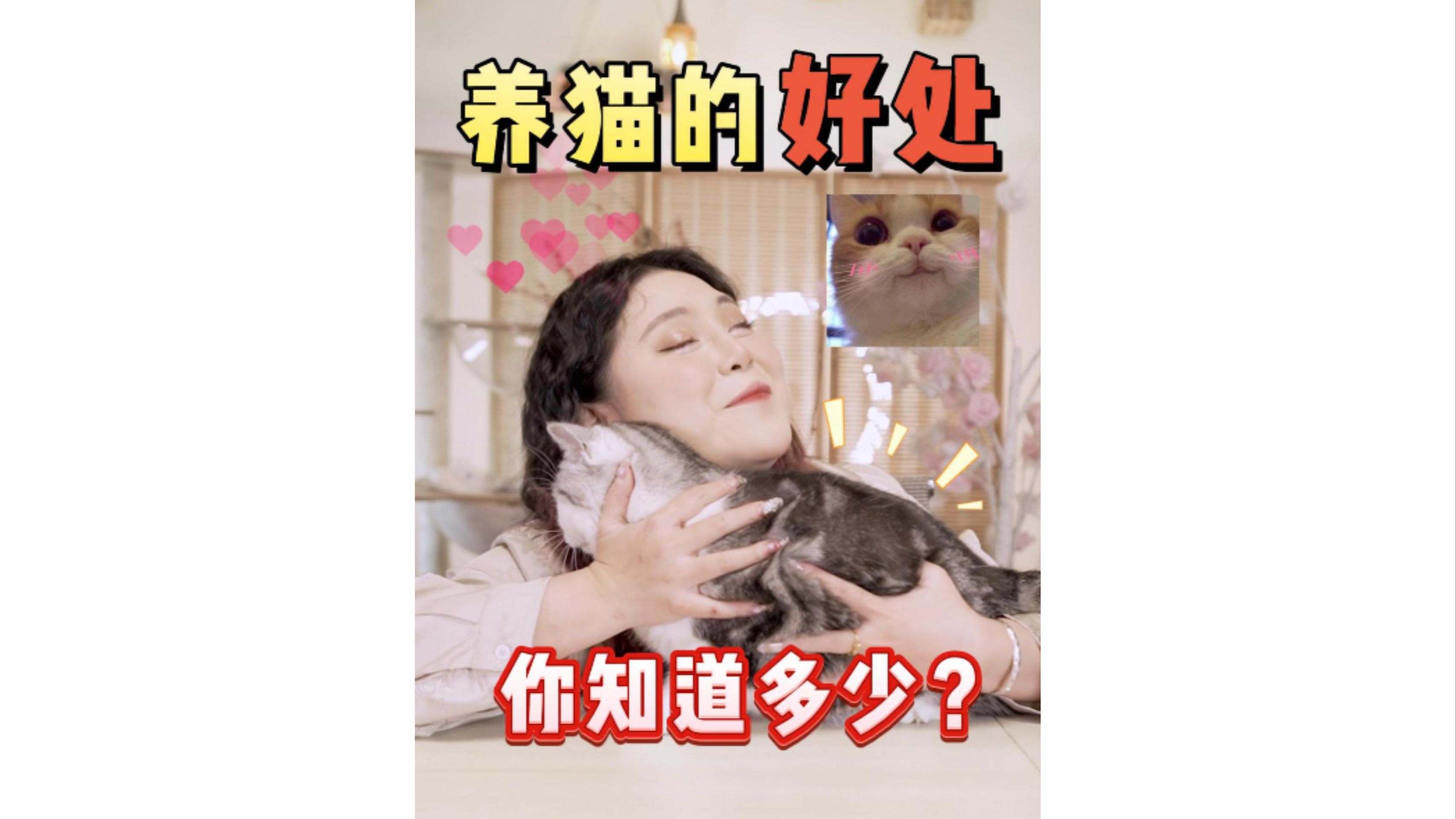 养猫的好处这么多?怪不得越来越多人养猫哔哩哔哩bilibili