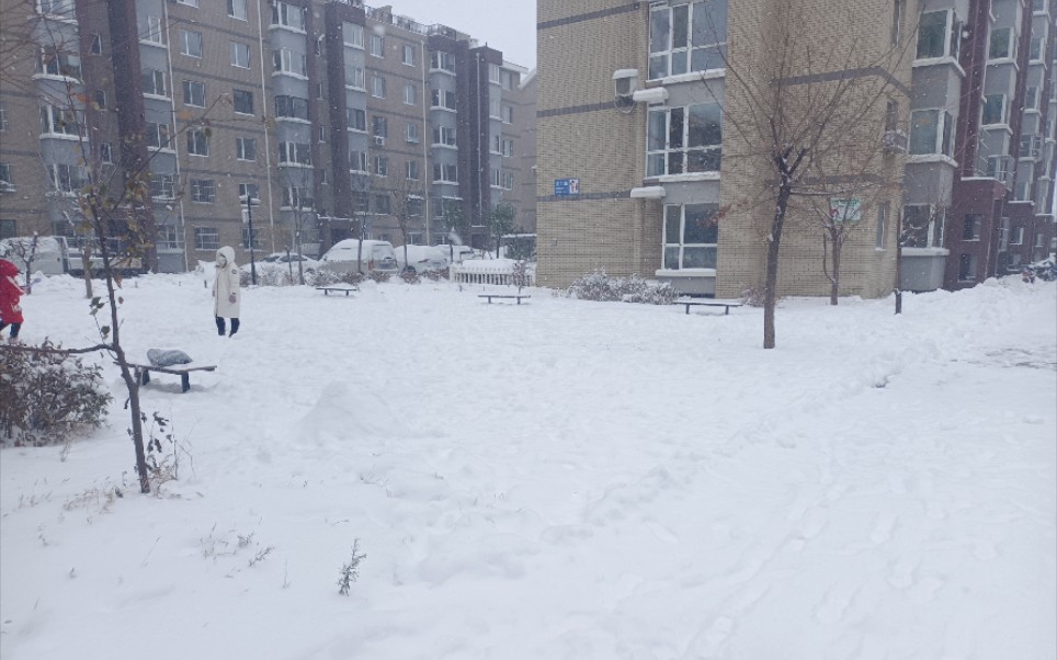 [图]今天沈阳下的雪好大