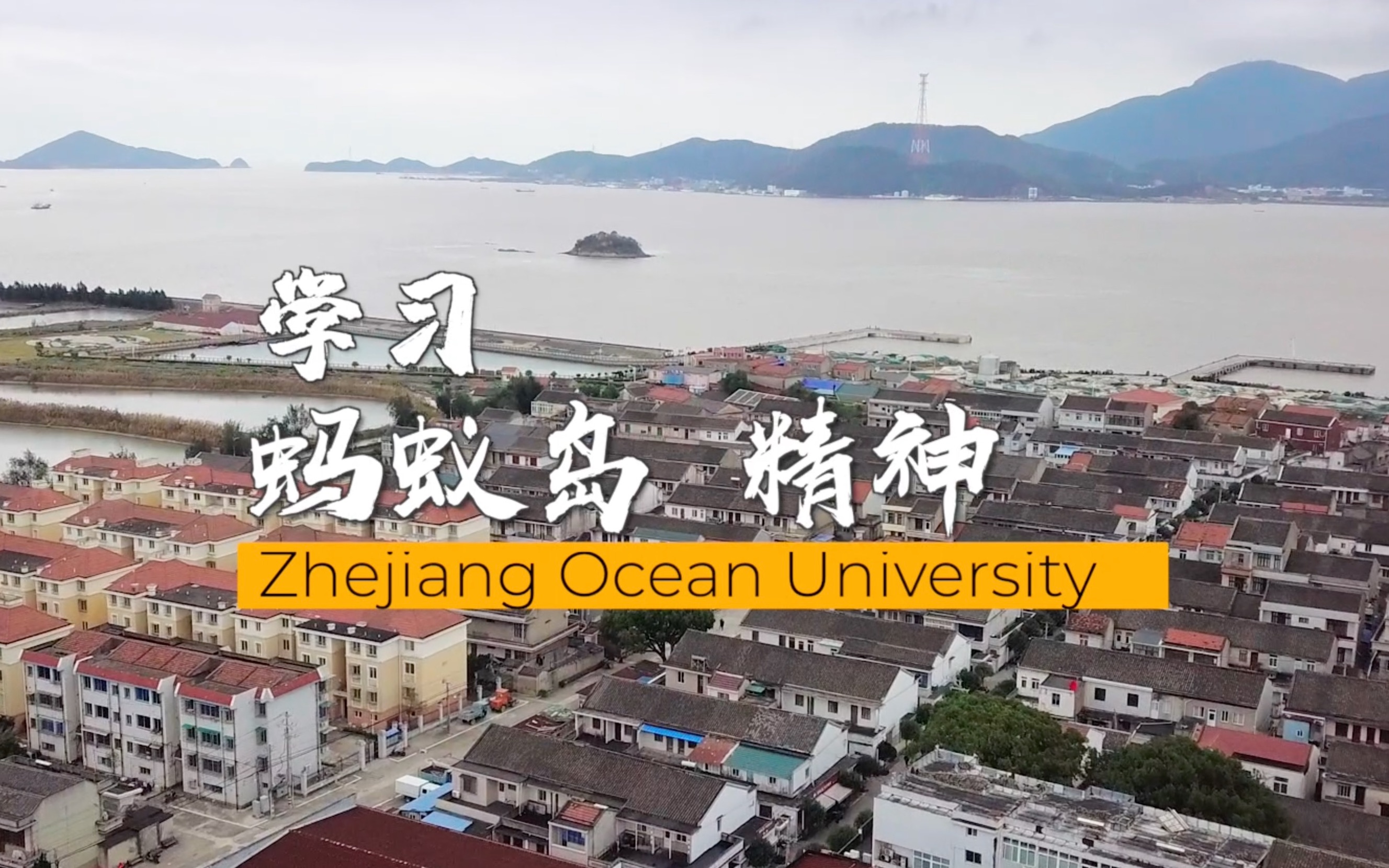 海大学子看舟山——艰苦创业,敢啃骨头,勇争一流,重温红色教育基地 蚂蚁岛哔哩哔哩bilibili