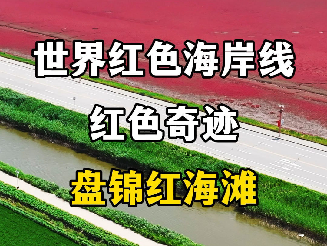 红色世界海岸线,中国红色奇迹,辽宁盘锦红海滩.#盘锦红海滩音乐节 #红海滩晚霞音乐季 #盘锦红海滩 #盘锦红海滩有多壮观 #红海滩游玩攻略哔哩哔哩...