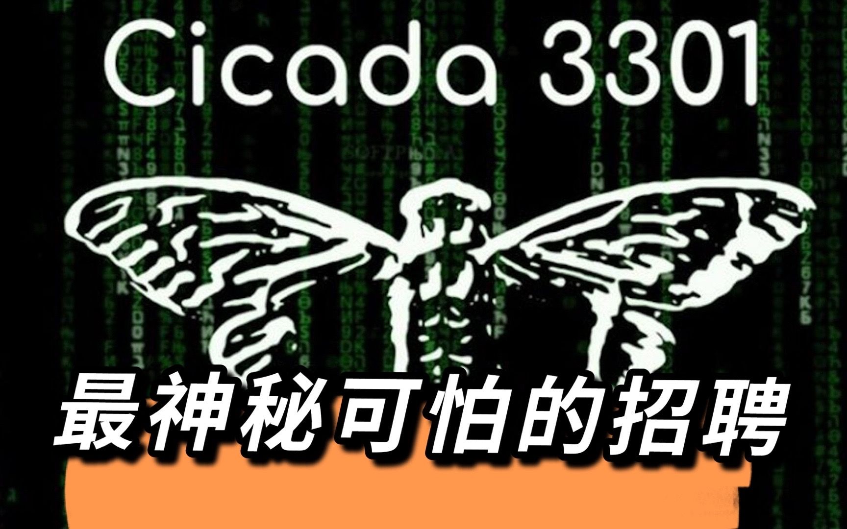 蝉3301:神秘可怕的招聘哔哩哔哩bilibili