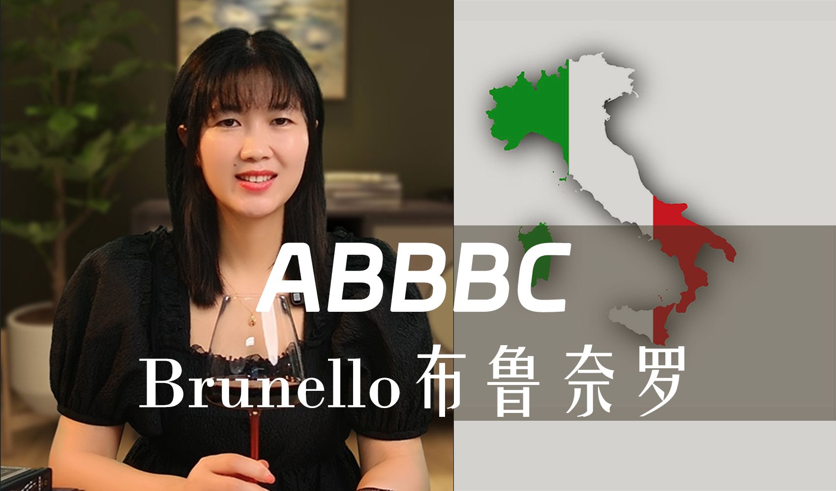 Brunello布鲁奈罗,“托斯卡纳的明珠”哔哩哔哩bilibili