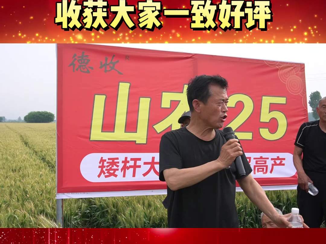 山农25就是好 收货大家一致好评