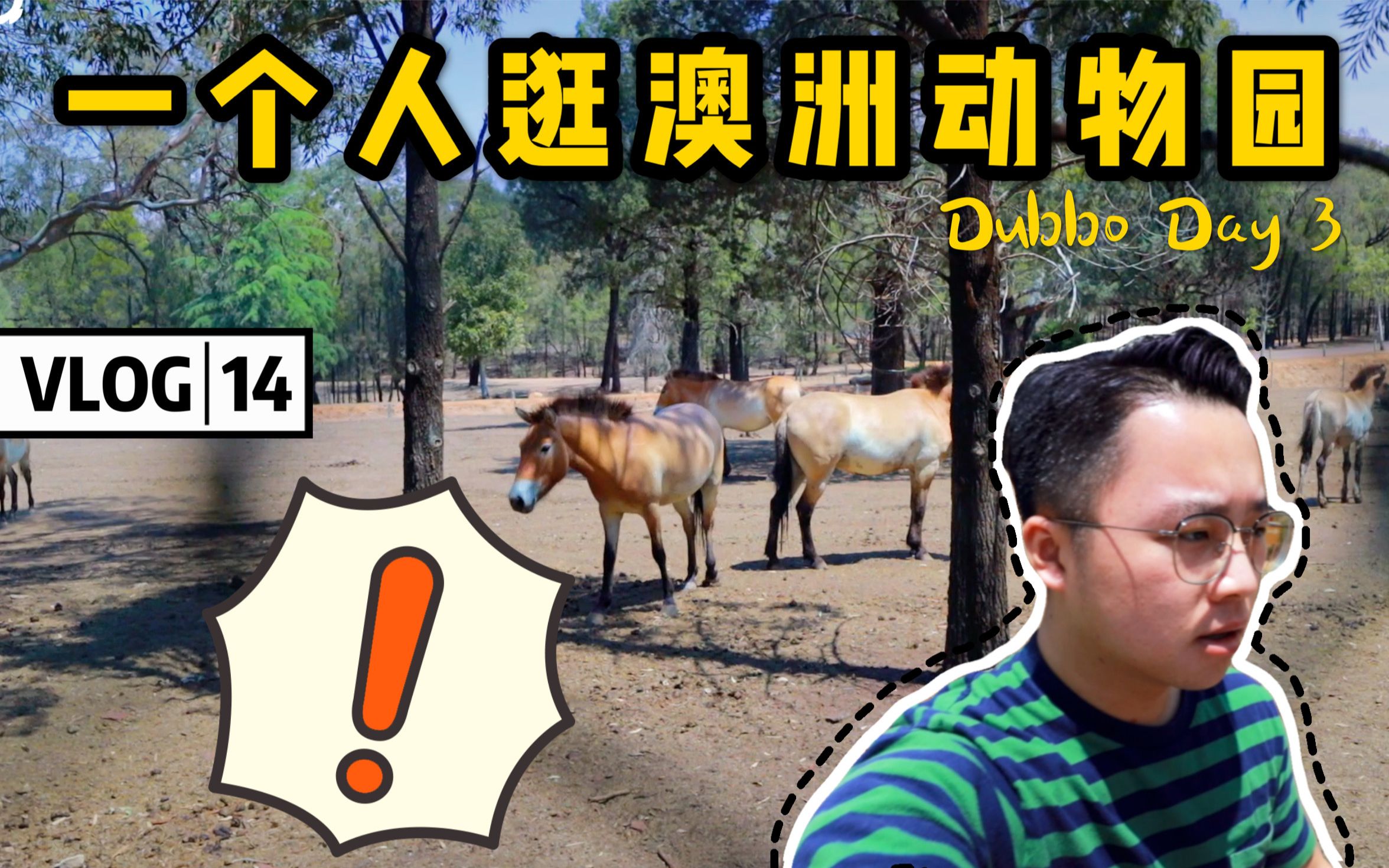 VLOG 14:气温40度,还能看到动物吗?一人一车逛完澳洲动物园 | Dubbo Day3哔哩哔哩bilibili