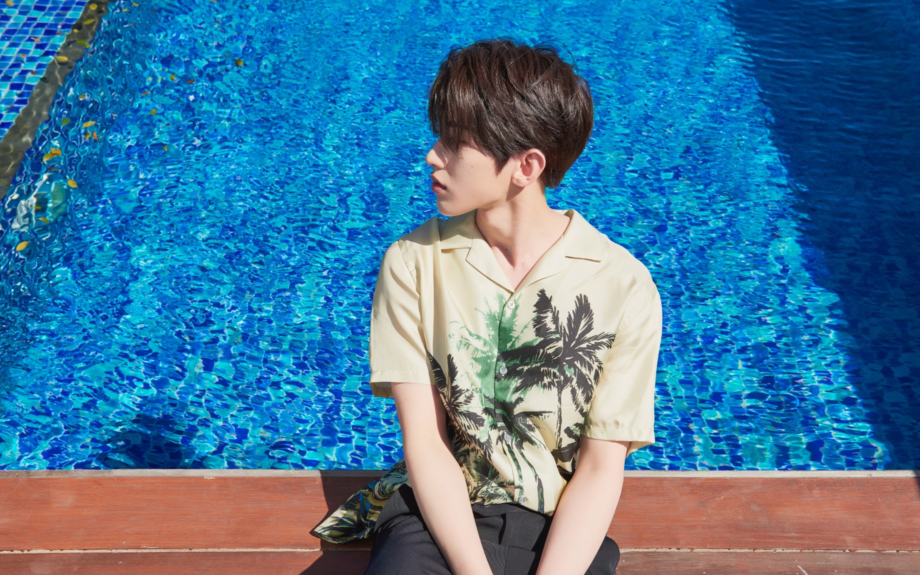 蔡徐坤·蓝玫瑰_哔哩哔哩 (゜-゜)つロ 干杯~-bilibili