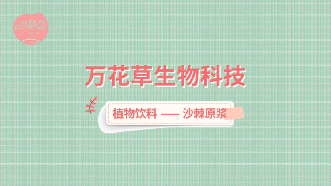 植物饮料是什么?哔哩哔哩bilibili