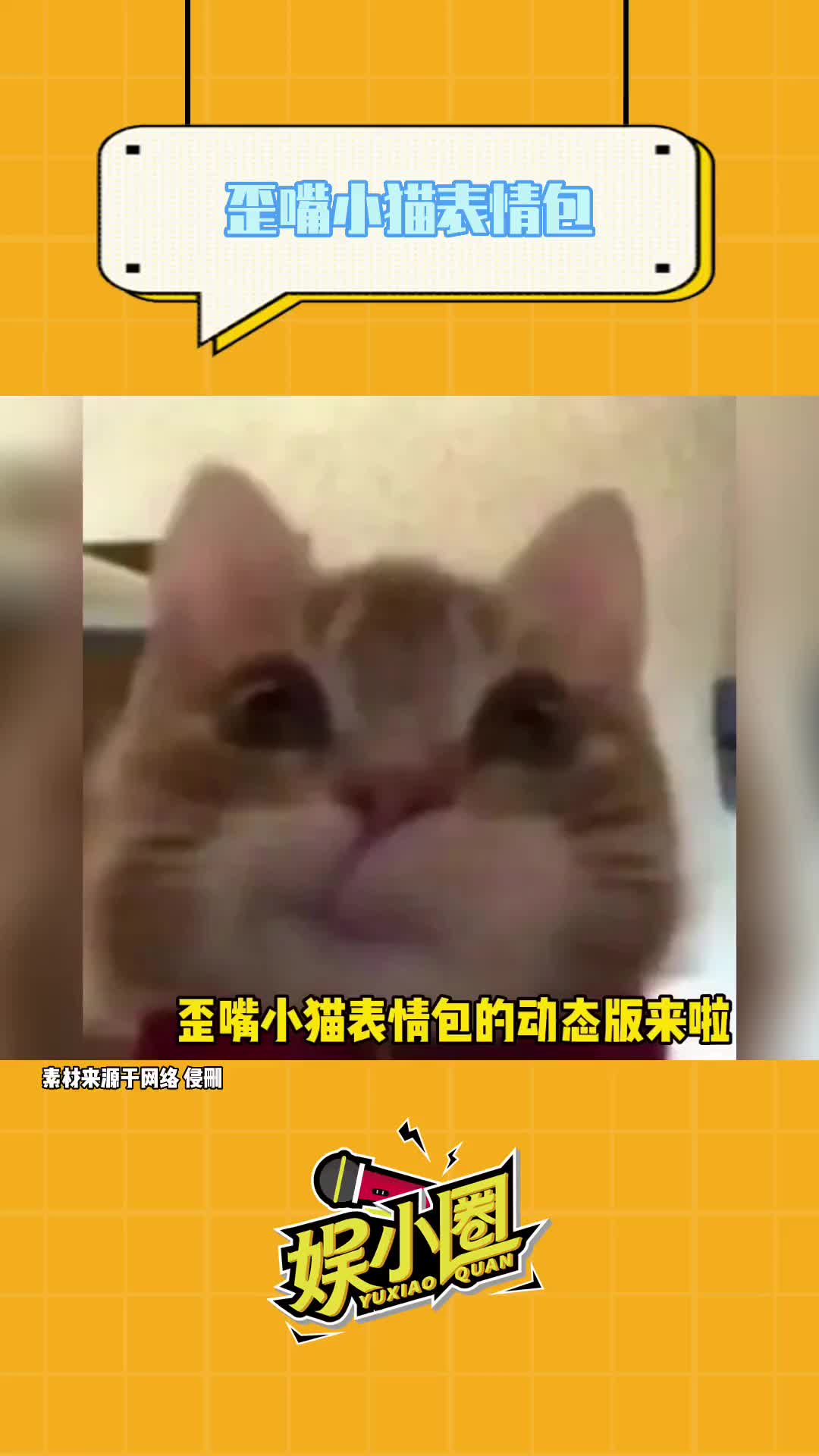 歪嘴小猫向你发出一条视频通话邀请
