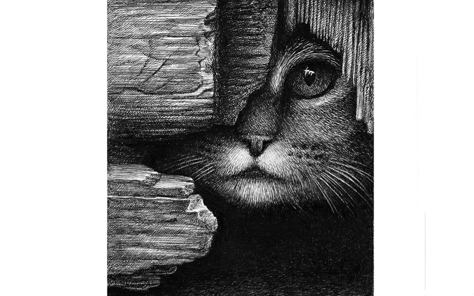 oy手绘·钢笔画·喵星人 1080p