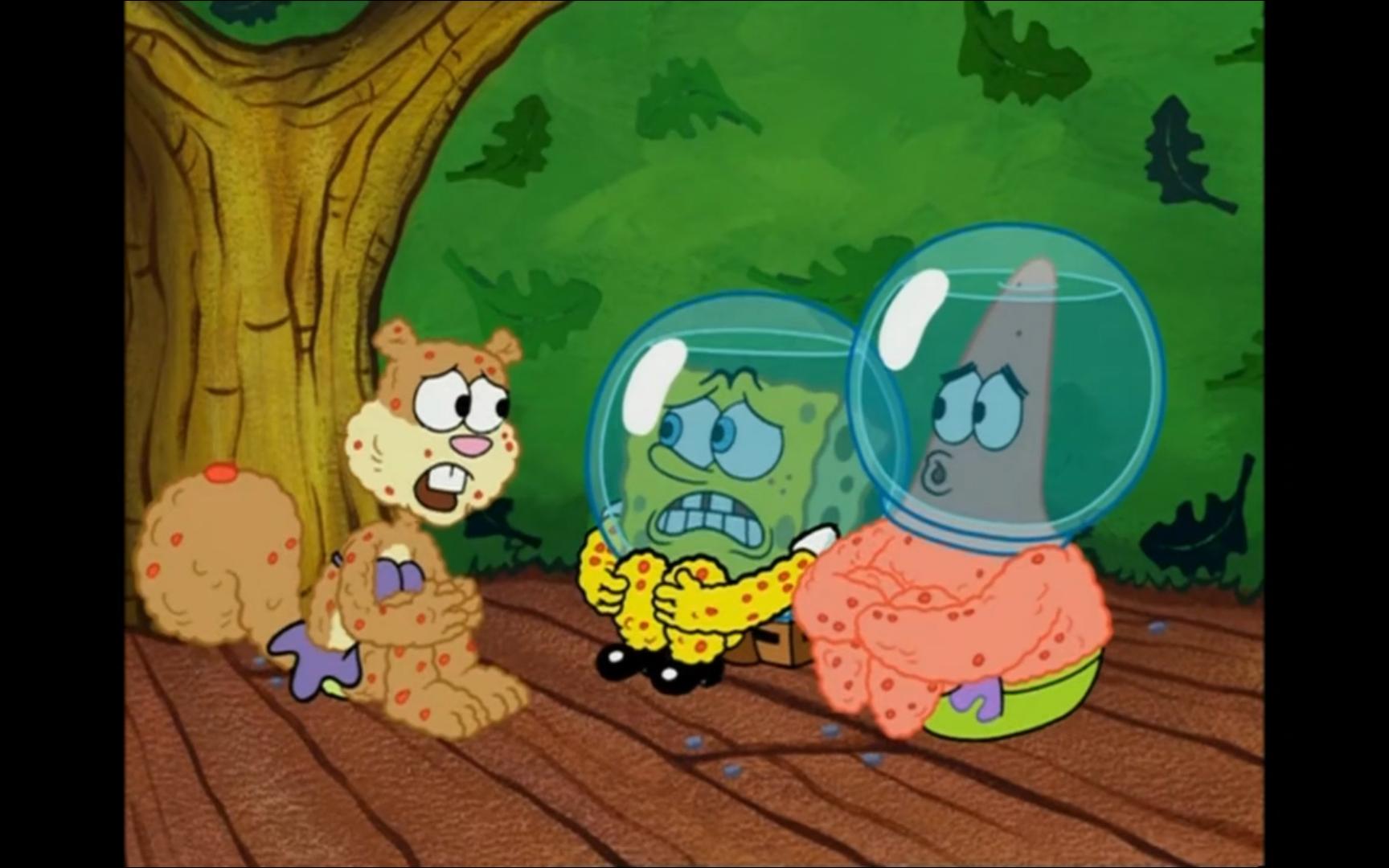 【央】派大星:你说得对,我有办法了