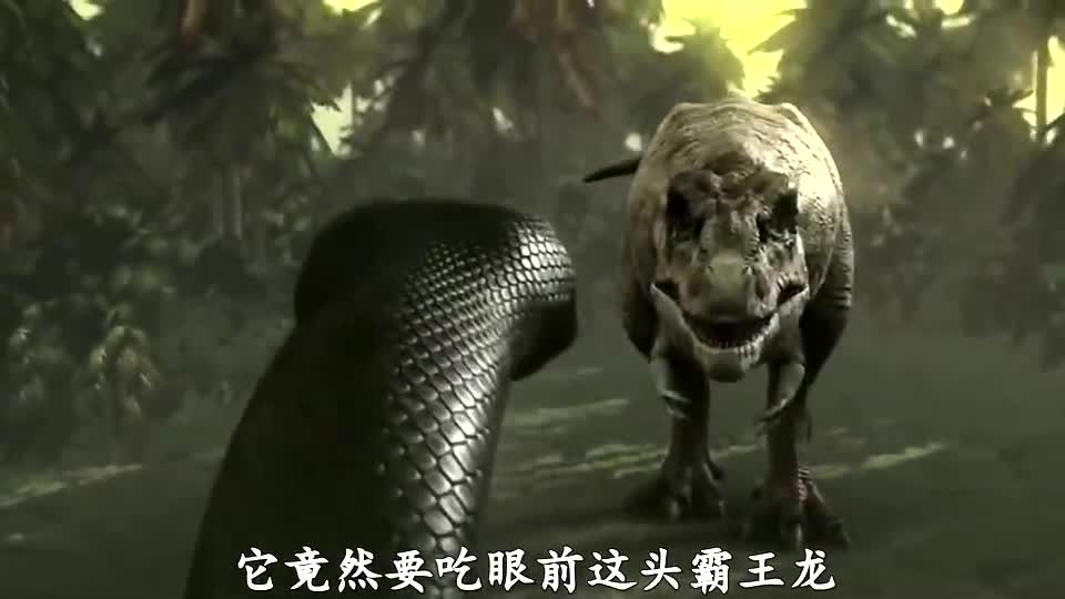 这条巨蟒想吃霸王龙,结果却被霸王龙反杀,短片