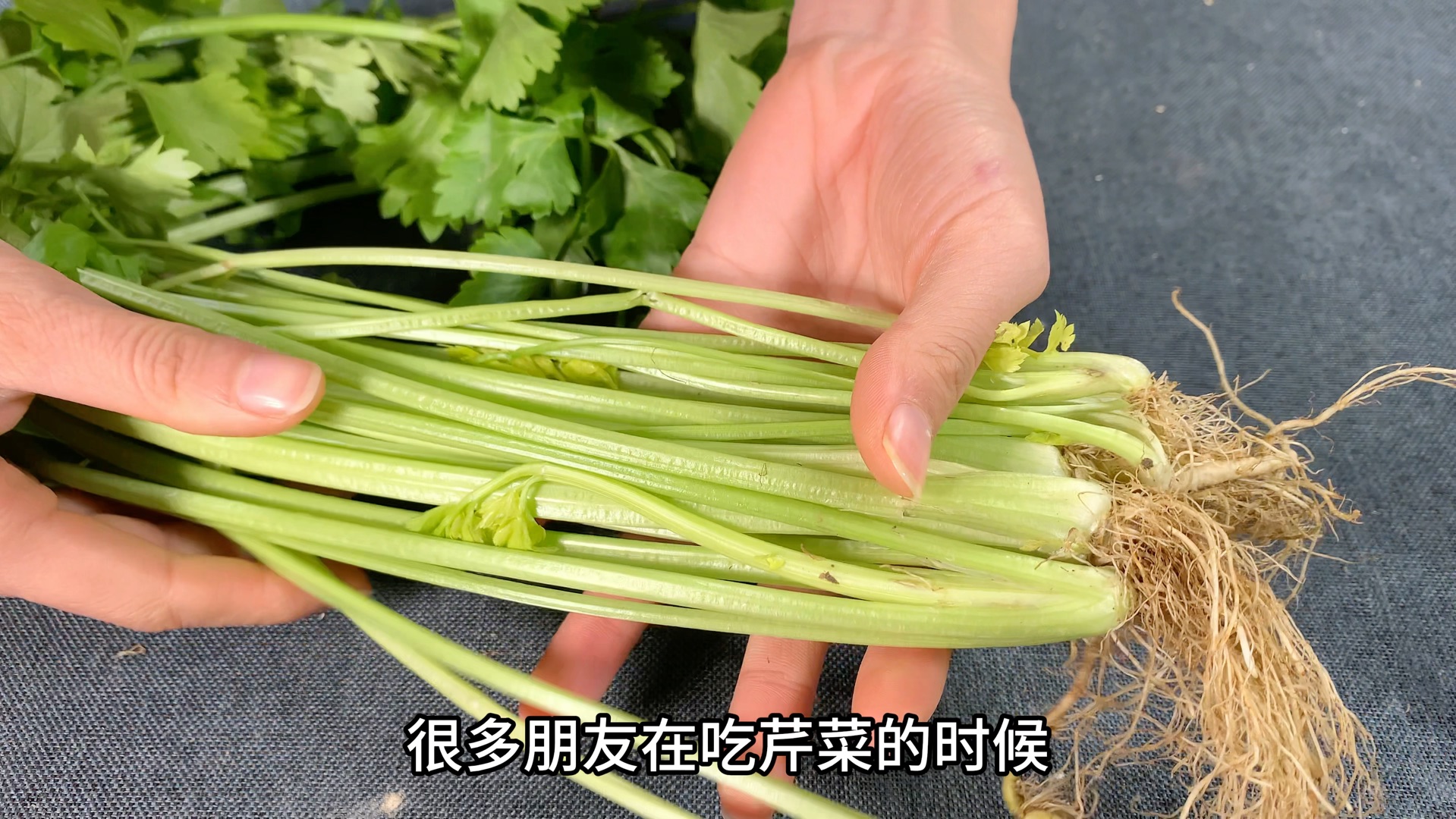 药芹菜根图片