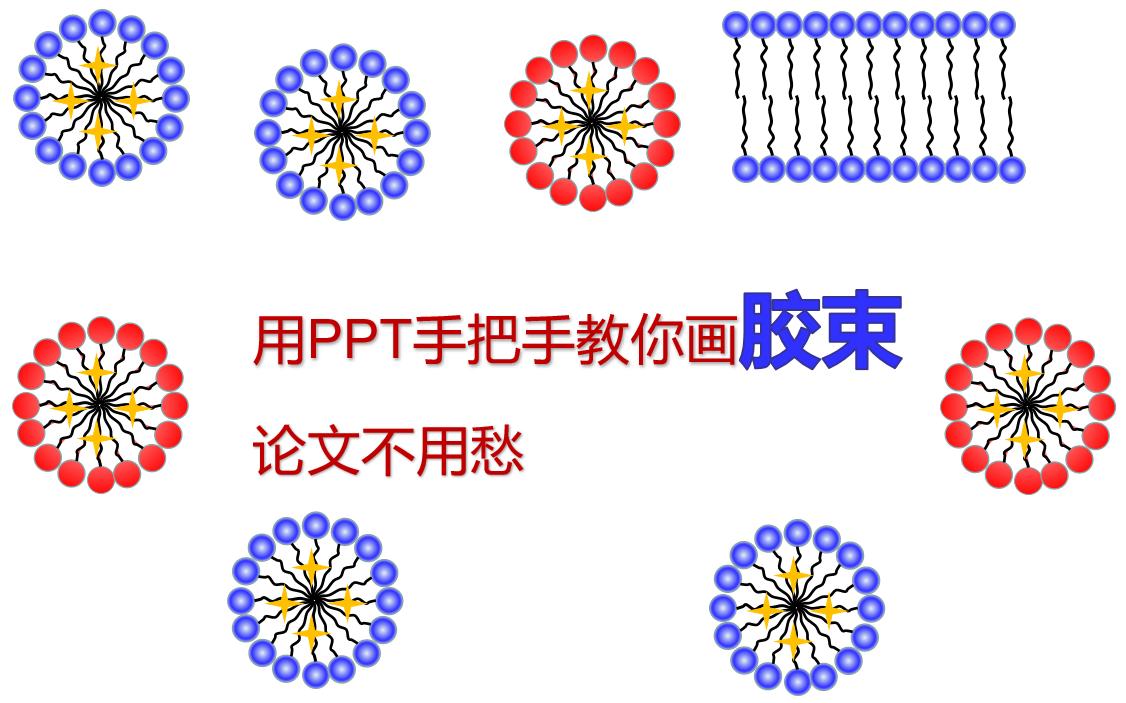 【科研论文之PPT】手把手教你用PPT快速画胶束哔哩哔哩bilibili