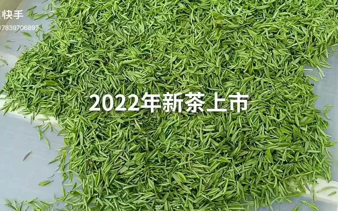 2021成都新茶嫩茶海选图片