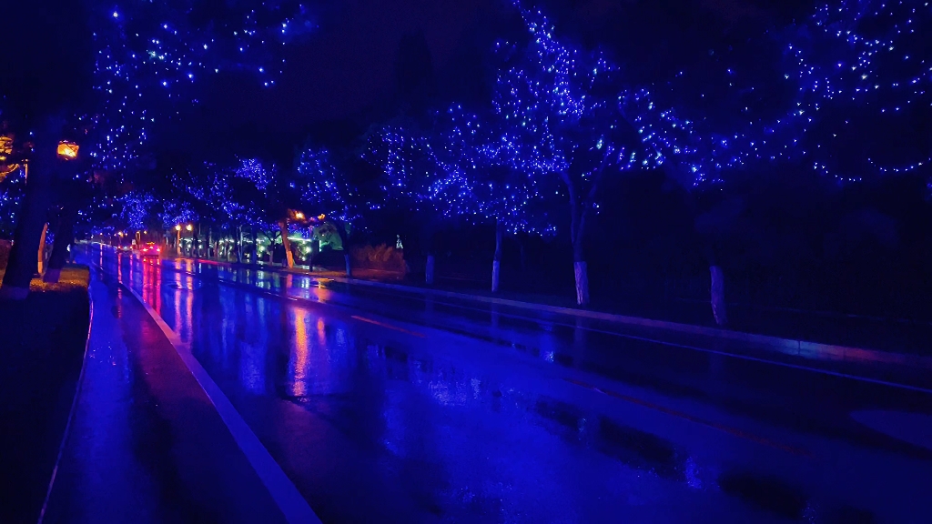 雨後的夜景,非常舒服