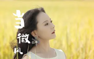 Download Video: 当微风吹过稻花，你会想起谁？