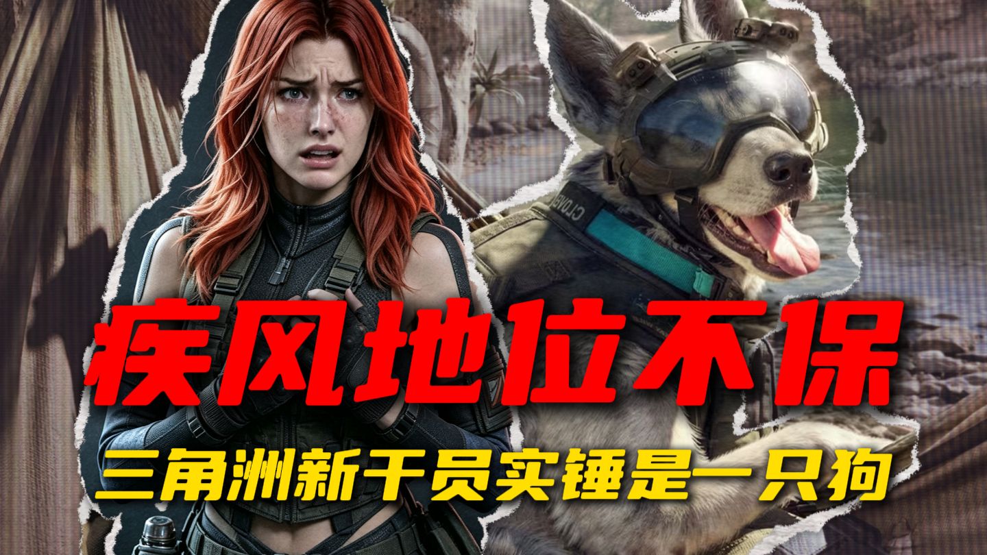 三角洲新干员实锤是一只狗！疾风地位不保！
