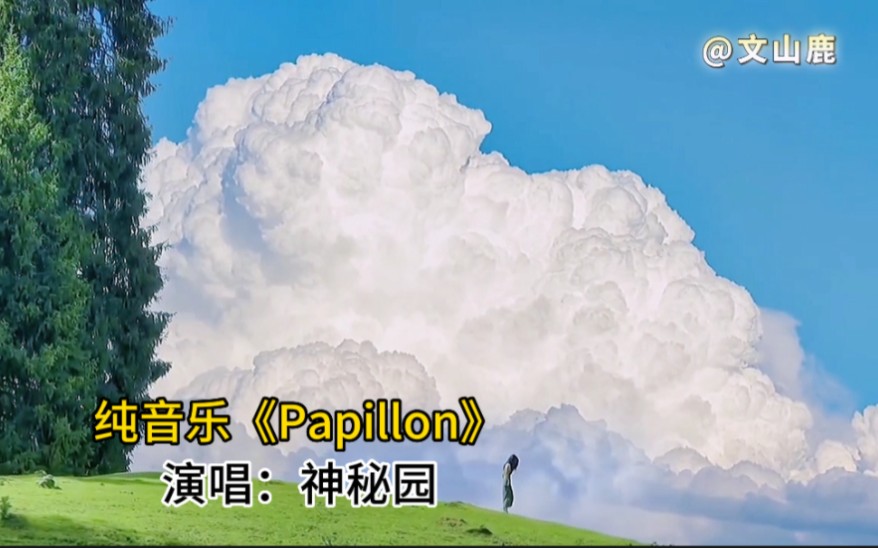 世界名曲《Papillon》,很美的曲子,温暖祥和哔哩哔哩bilibili