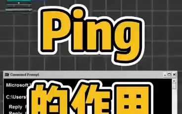 ping是什么过程?哔哩哔哩bilibili