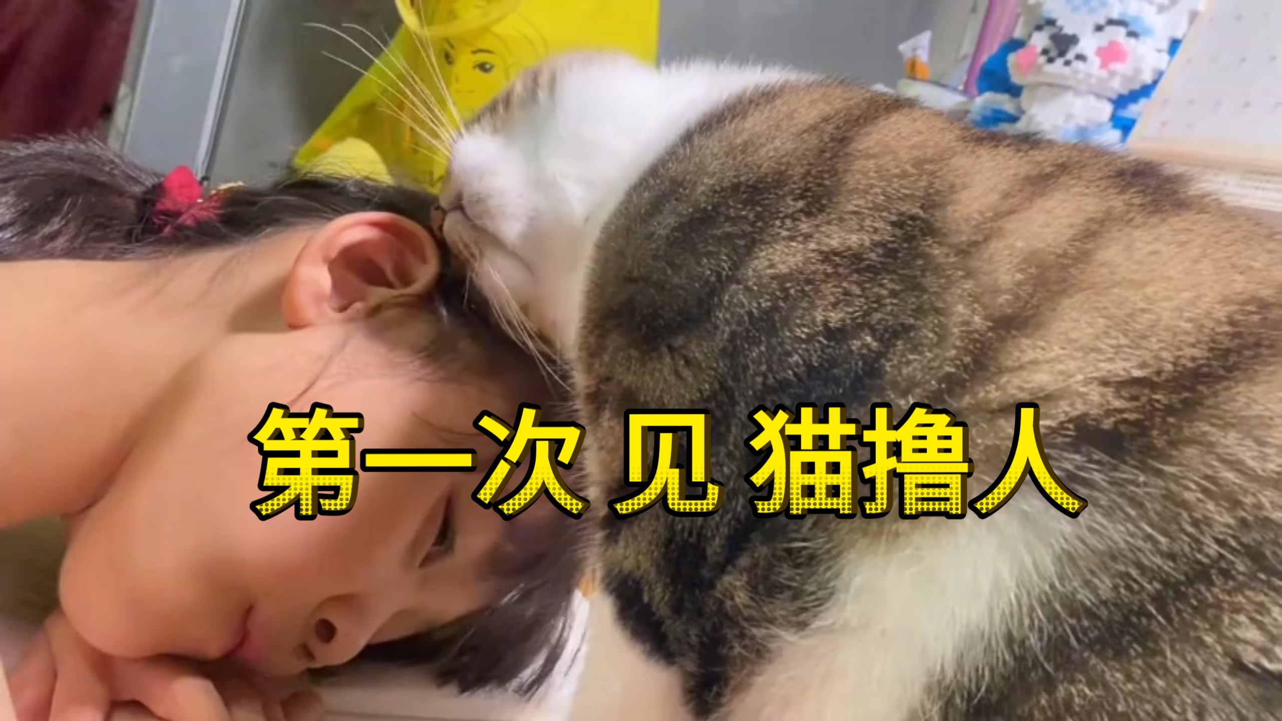 人撸猫见多了第一次见猫撸人