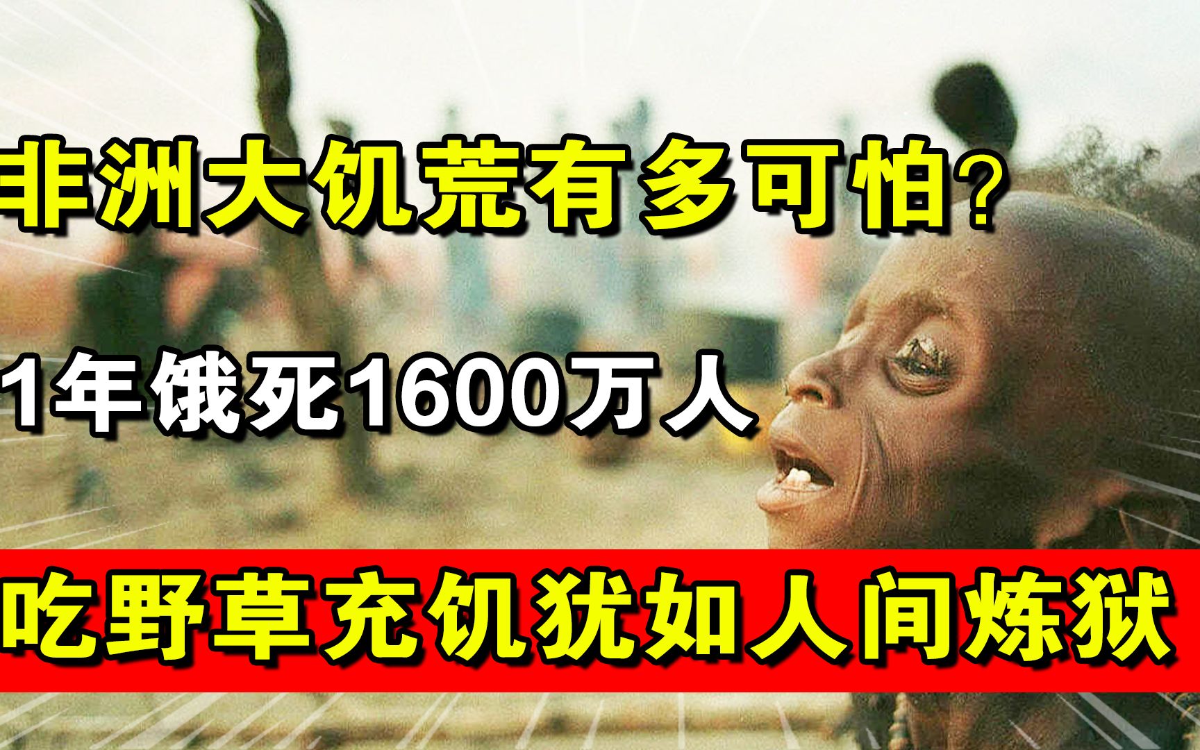 非洲大饥荒有多可怕?1年饿死1600万人,啃树皮充饥犹如人间炼狱哔哩哔哩bilibili