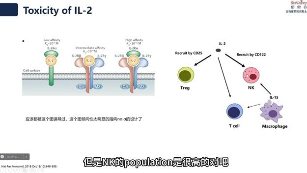 白介素2的毒性分析及双抗策略哔哩哔哩bilibili