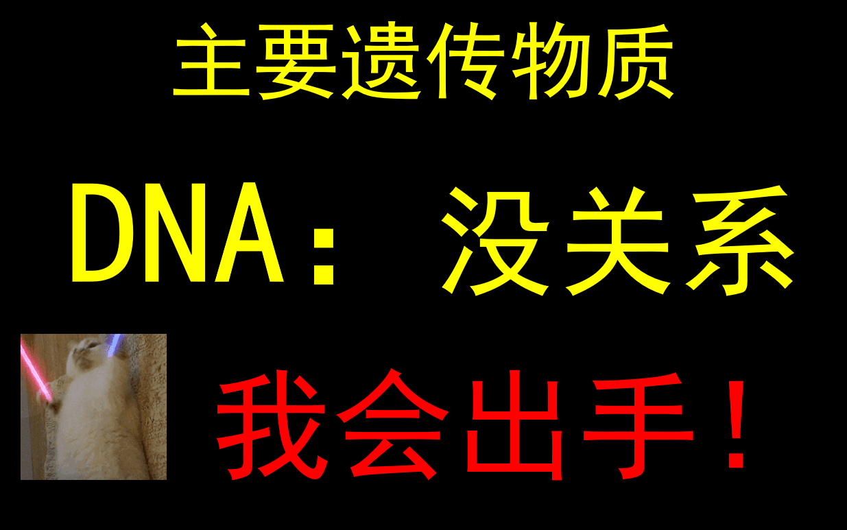 今天来讲讲主要的遗传物质吧【高考生物】哔哩哔哩bilibili