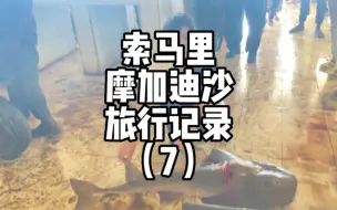 Download Video: 你绝对想象不到索马里海盗是因为渔业资源受损被迫成为海盗的。他们发现抢夺外国渔船比自己捕鱼挣的更多时，就决定开始慢慢转型，并慢慢壮大，从抢劫渔船发展到抢夺货轮