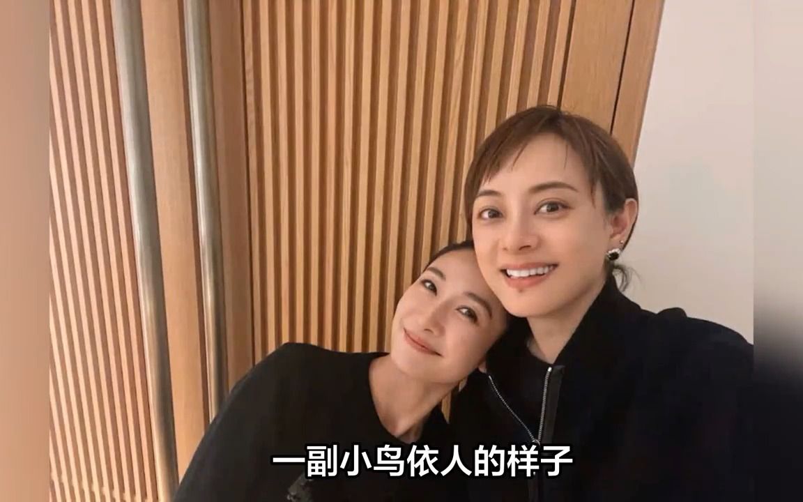 陶昕然和孙俪贴贴,梦回安陵容甄嬛,还要给小花深度解说甄嬛传