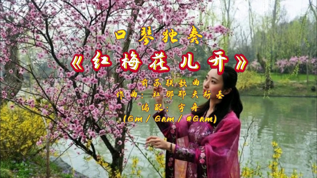 口琴独奏《红莓花儿开》(gm/gnm/#gnm)前苏联歌曲.作曲:杜那耶夫斯基.