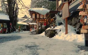 Download Video: 京都·雪天｜我们要相信，每天的太阳它都是崭新的