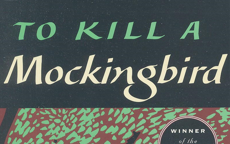 [Audio Books] To kill a mockingbird —— 杀死一只知更鸟(完结)哔哩哔哩bilibili