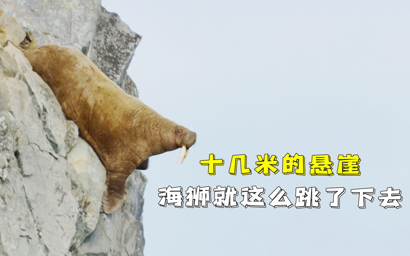 娴风嫯涔熶細鎯充笉寮锛熺旱韬竴璺冭烦涓嬫偓宕栵紝闀滃ご鎷嶄笅