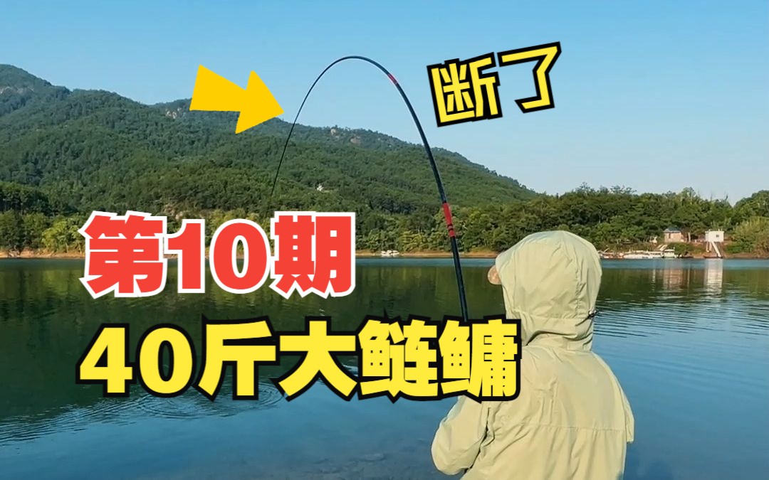 鲢鳙为啥被叫做傻瓜鱼?40斤大鲢鳙拉力太给力了,为了让孩子戒掉游戏,带他钓鱼的第10天哔哩哔哩bilibili