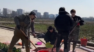 [图]种地吧少年｜云监工+1，最近可太喜欢看少年种地