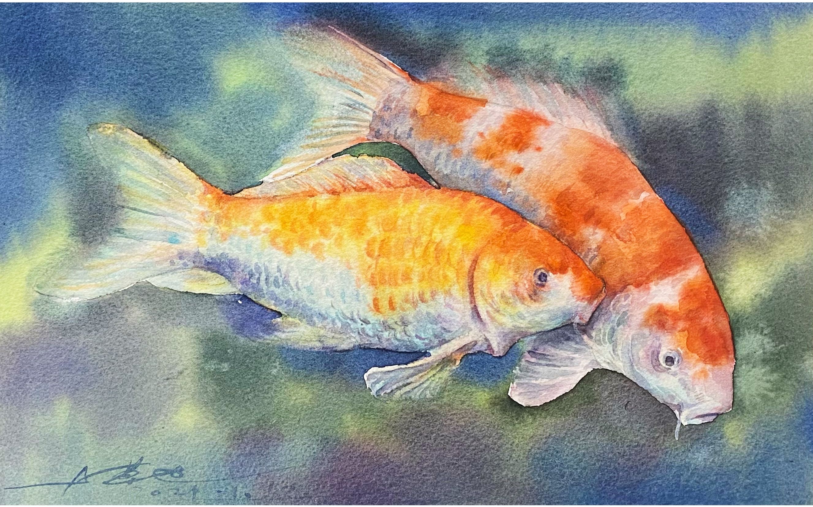 活动  两条锦鲤游啊游