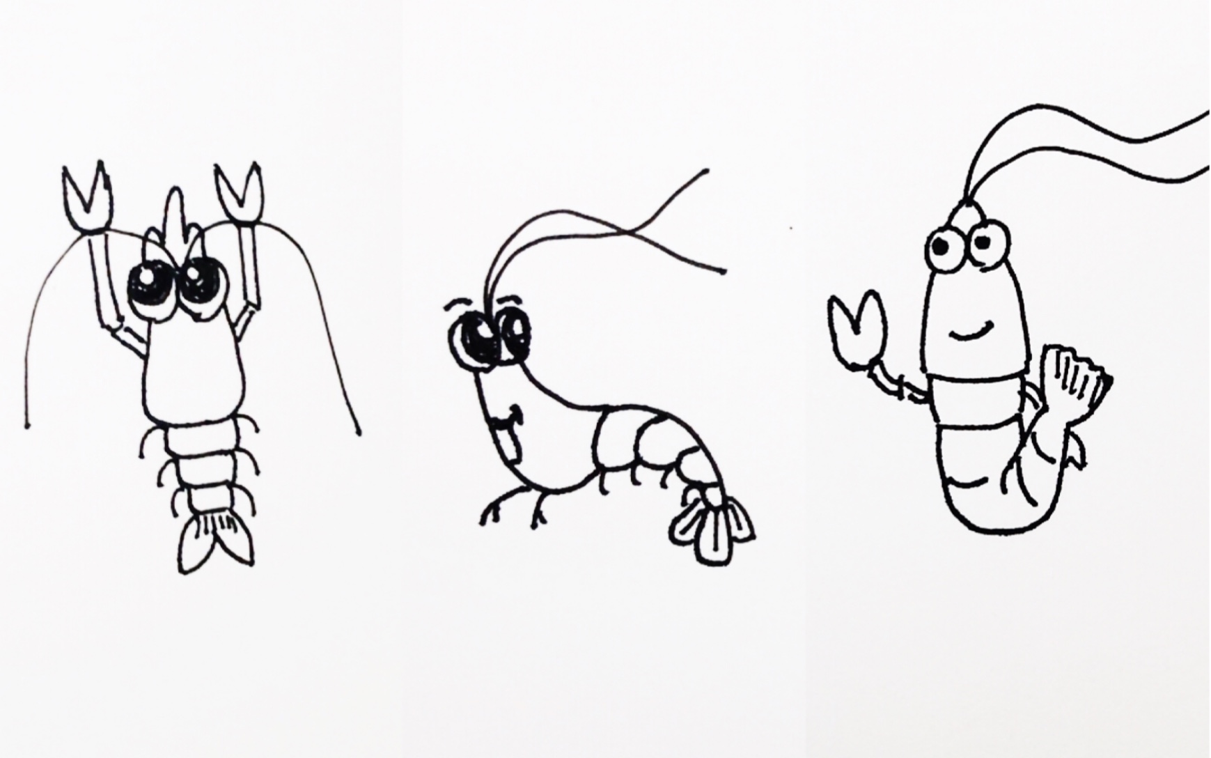 简笔画3种画虾的方法