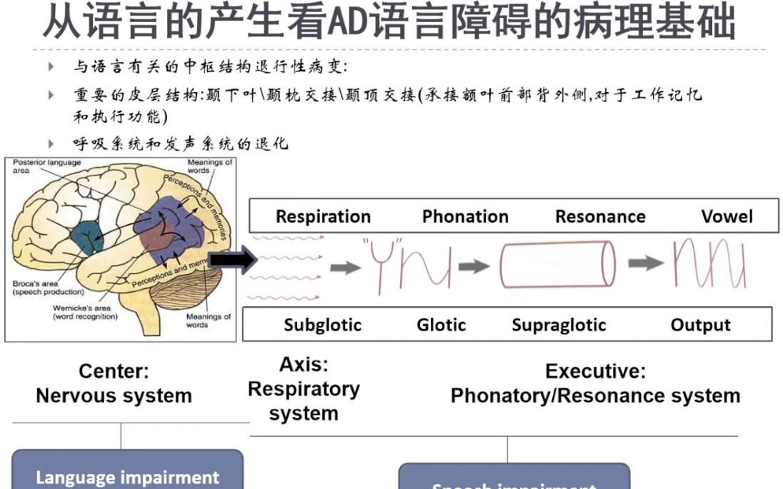 20230509上海交通大学医学院附属瑞金医院精神内科王刚认知障碍的语言功能评估哔哩哔哩bilibili