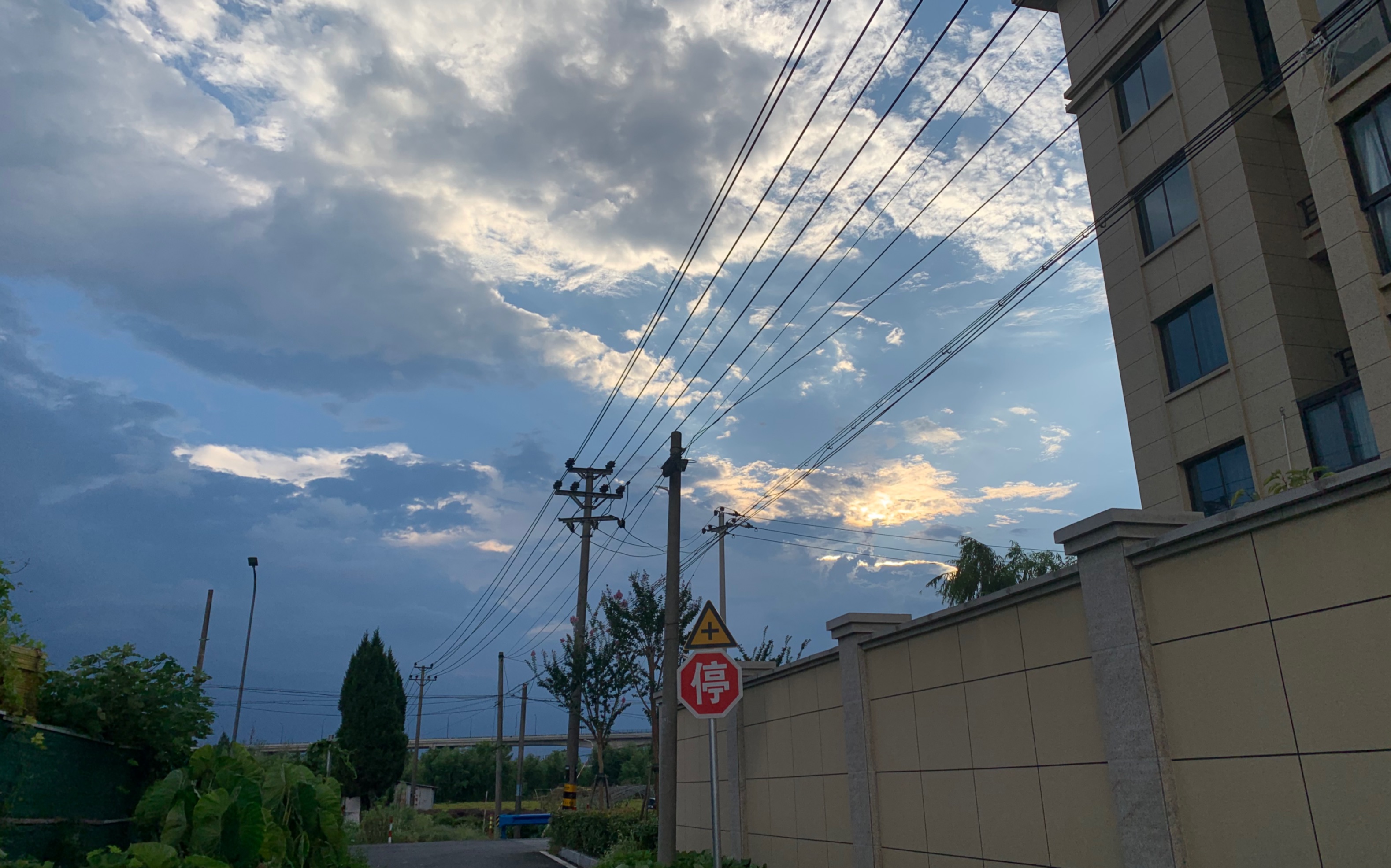 随手拍,风景美如画