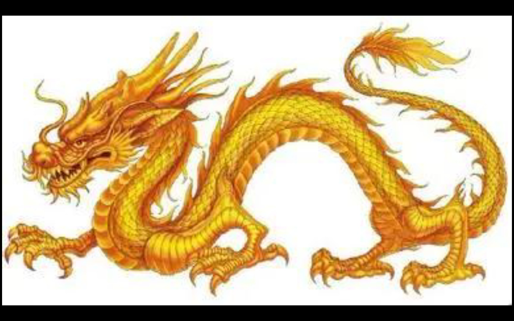 亢龙漫卷——中国第一种肉食性恐龙