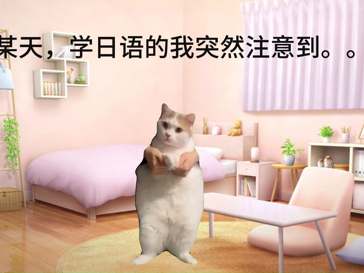 [图]【猫meme】关于我的名字把日本人给吓到这件事